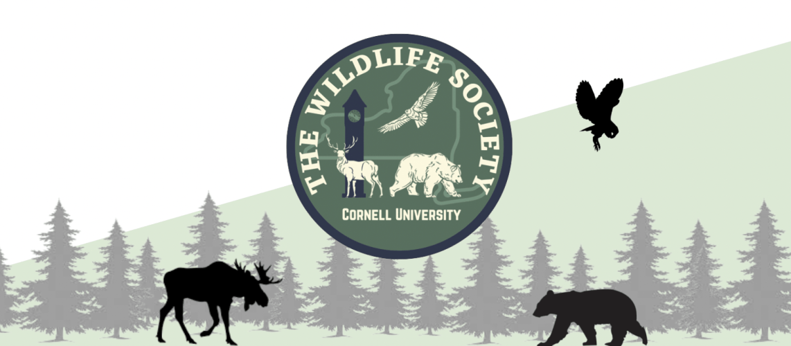 The Wildlife Society 